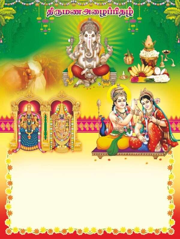 Andal(SAP-183 -V-T-M Card Only)