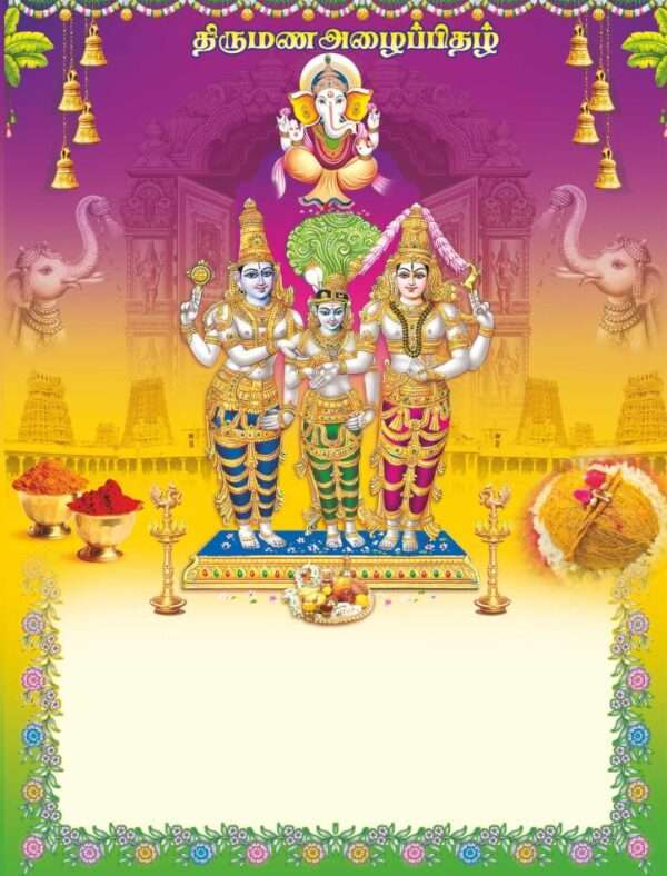 Andal(SAP-187 -M Card Only)