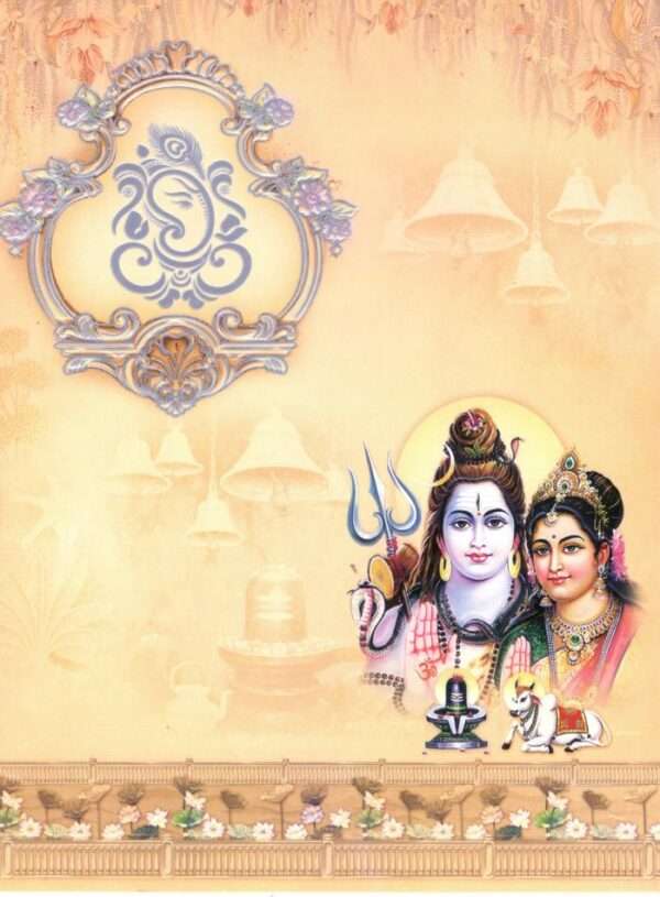 Robo(SAP-1017 -S-P Set)