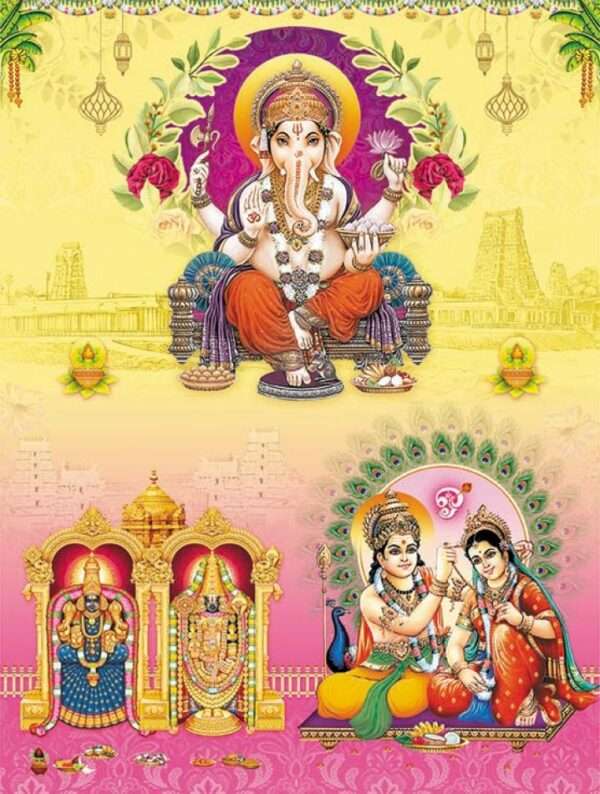 Shiva(SAP-3004 - V-T-M Set)