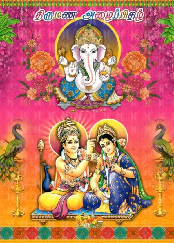 SLV 3D(SAP-903 -V-M Card Only)