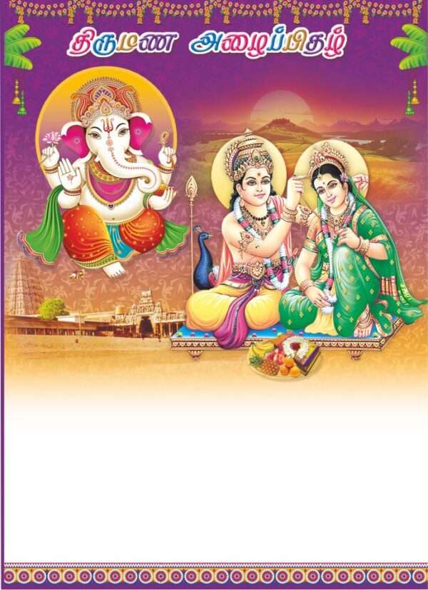 New SLV(SAP-874 -V-M Card Only)