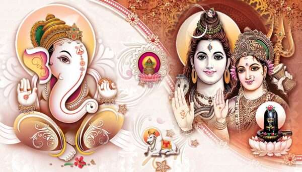 Thanisha(SAP-940 SET)