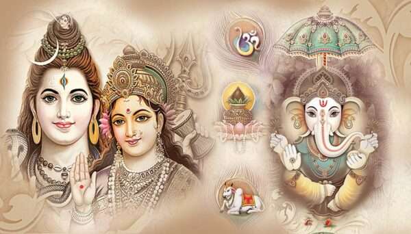 Thanisha(SAP-943 SET)