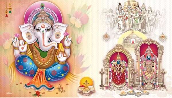 Thanisha(SAP-946 SET)